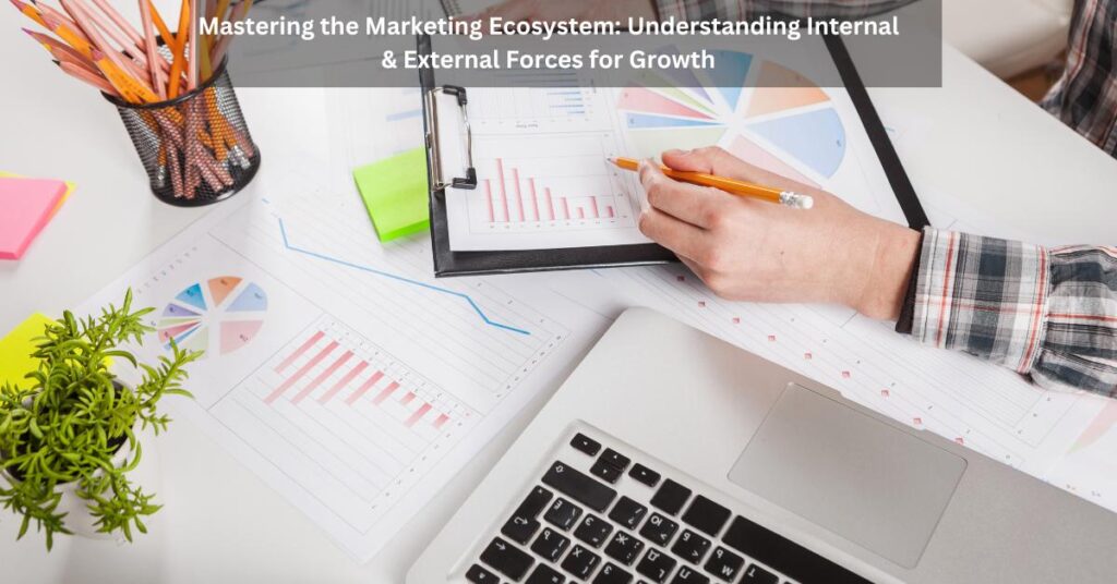 Internal and external components of the marketing environment